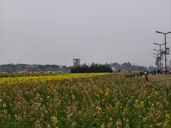 -中国天府农业博览园