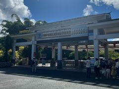 -中国科学院西双版纳热带植物园