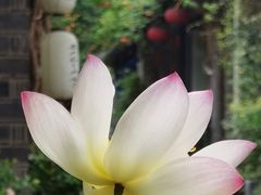 -老门东历史文化街区