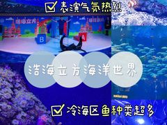 -成都浩海立方海洋公园