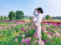 -花博汇(知音花月夜)