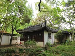 -上海醉白池公园
