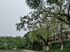 -中国农业博物馆