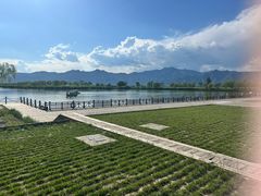 -野鸭湖国家湿地公园