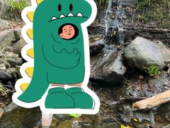 -素山寺森林公园