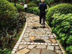 -云溪植物园