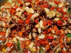 -费大厨辣椒炒肉(吉联MALL店)