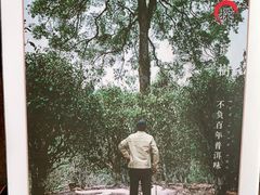 -七彩云南茶(七彩云南第壹城店)