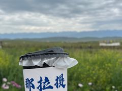 -新疆那拉提国家旅游度假区