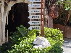 -泉眼温泉