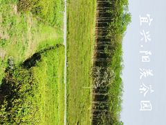 -宜兴龙背山森林公园