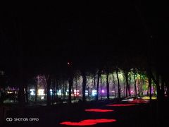 -天适樱花悠乐园