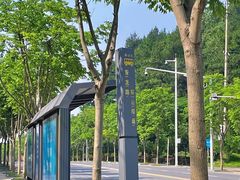 -青龙山国家森林公园