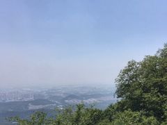 -紫金山山顶公园