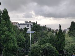 -浮游·云巅派对西餐厅(鼓岭旅游度假区店)