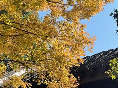 -北山街历史文化街区
