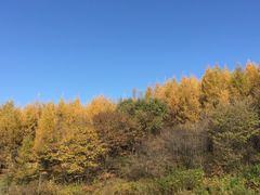 -帽儿山风景区
