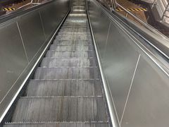 -上海科技馆(地铁站)