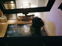 -觀芷隐轩