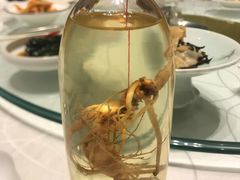 -苏州金鸡湖文博诺富特酒店