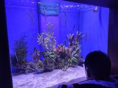 -多彩贵州城极地海洋世界