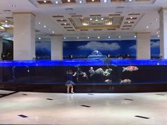 -鹏天阁酒楼·海鲜(红旗店)