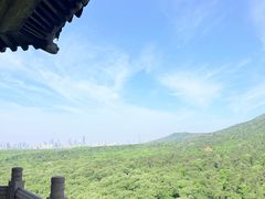 -灵谷景区
