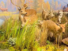 -陕西自然博物馆