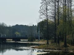 -长广溪湿地公园