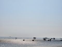 -江山半岛白浪滩景区