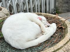 -敬亭山风景名胜区