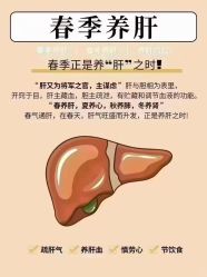 -YESIDO椰岛美容