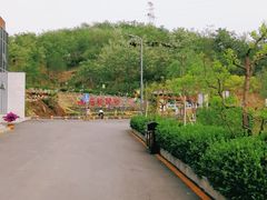 -欢乐松鼠谷