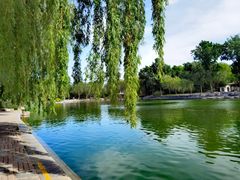 -向外鱼乐·土菜·虹鳟鱼