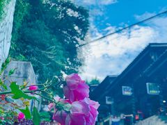 -九皇山景区