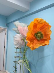 -斐尔国际皮肤管理中心