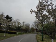 -尚贤河湿地