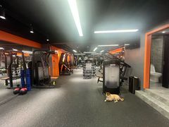 -博纳私人订制健身(中集美兰湖店)