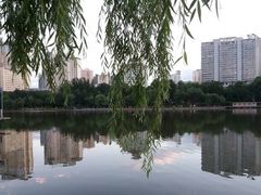 -西宁市人民公园(城西区)