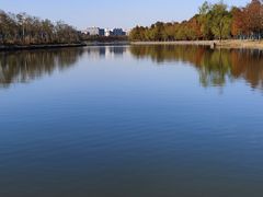 -春花秋色城市公园