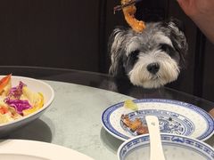 -鲁菜根·泰山菜(泰山店)