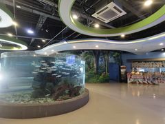 -芜湖新华联大白鲸海洋公园