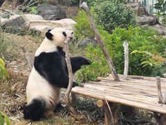 -南宁市动物园