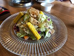 蔬菜沙拉-尚海豆捞(乐虹坊店)