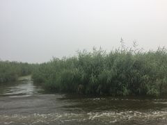 -白洋淀景区