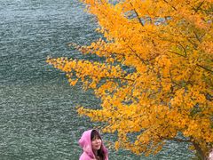 -lululemon(新天地店)