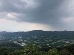 -大屏嶂森林公园