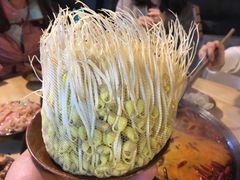溶洞豆芽-独雅老火锅(原宏声巷店)