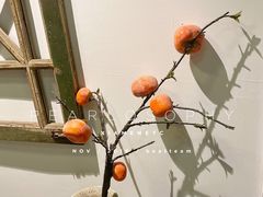 虾宝-铁道茶苑.色稷餐厅(莲花南路店)