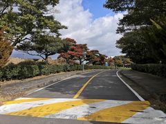 -爱来魔相4D艺术馆(济州中文馆)